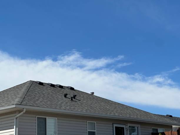 Professional Roofing Service  in Moorpark, CA